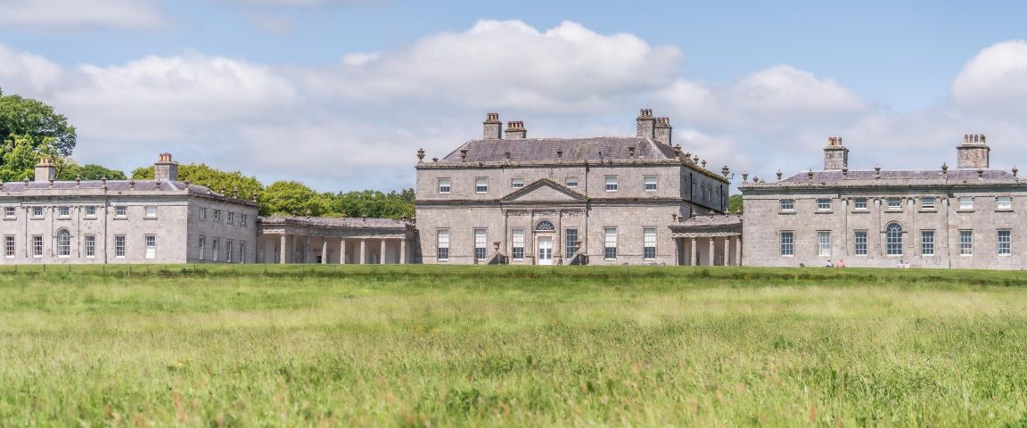 Wild sowing at russborough