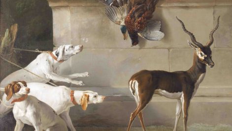 Exploring the Majesty of Nature: Jean-Baptiste Oudry's 'Indian Blackbuck with Three Pointers'