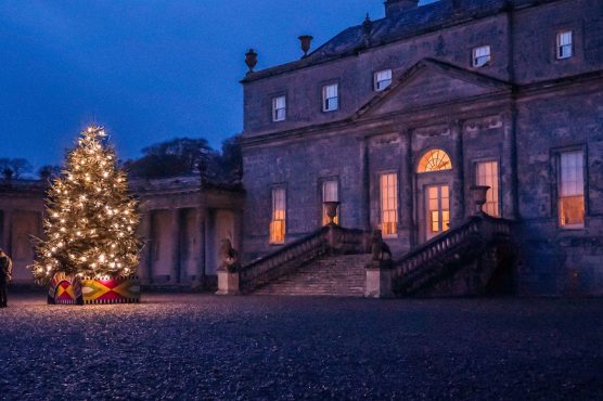 Christmas Tree Lighting at Russborough