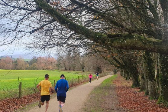 Russborough Saturday Parkrun