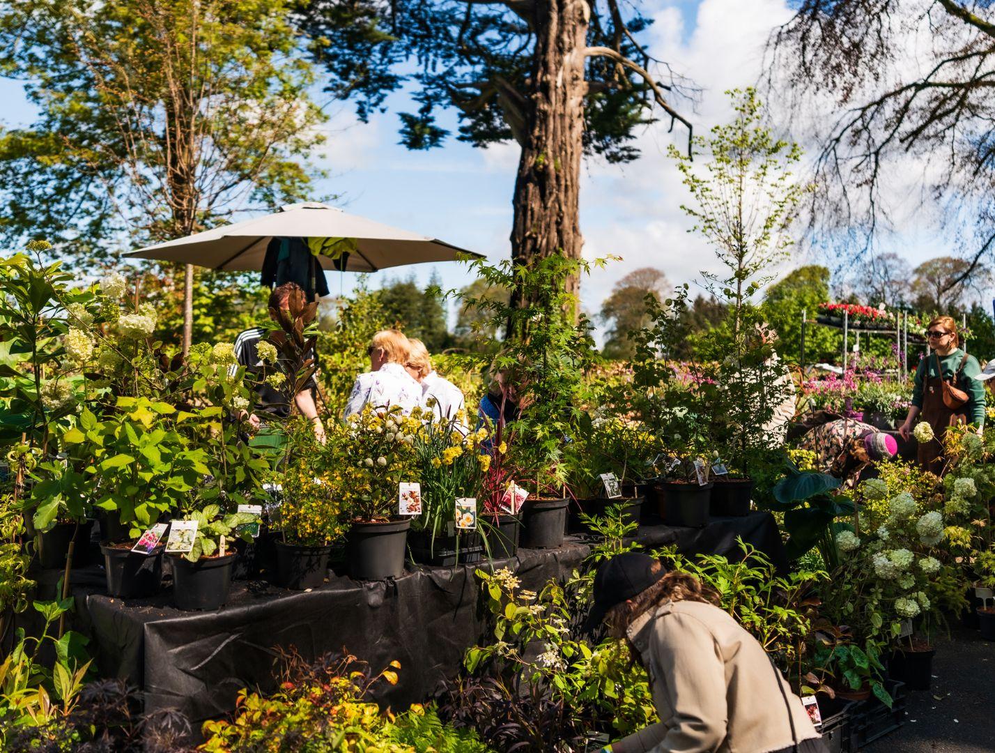 Whatson wild garden show