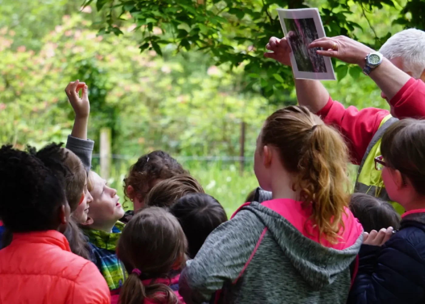 Education at russborough 06