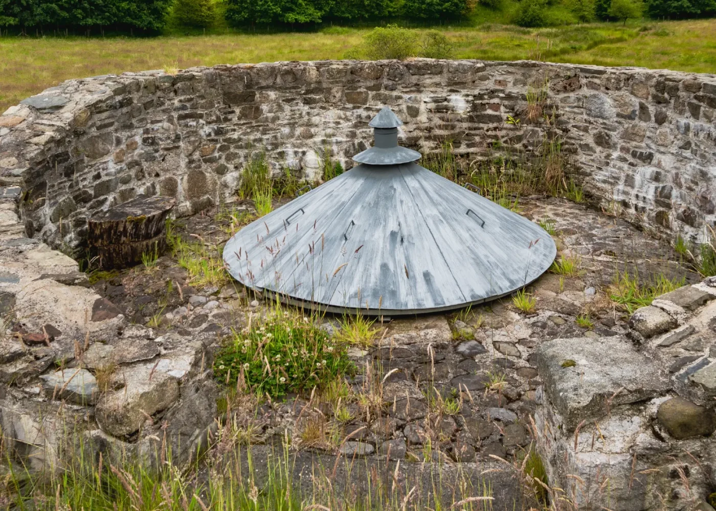 The parklands and gardens at Russborough House 05