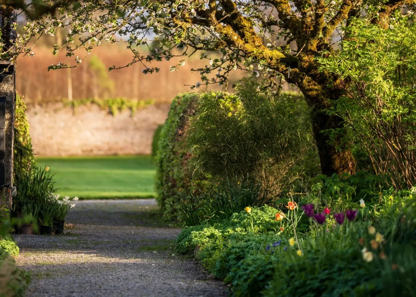 The parklands and gardens at Russborough House 10