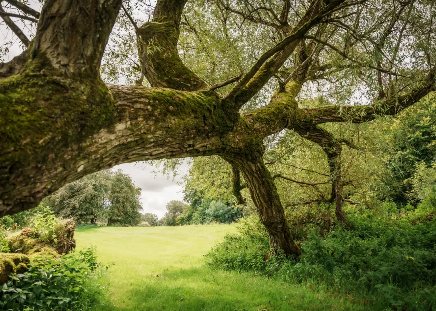 Walks & Trails russborough 05