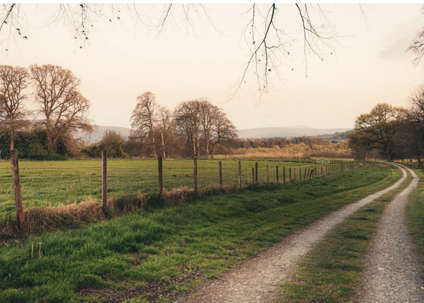 Walks & Trails russborough 06