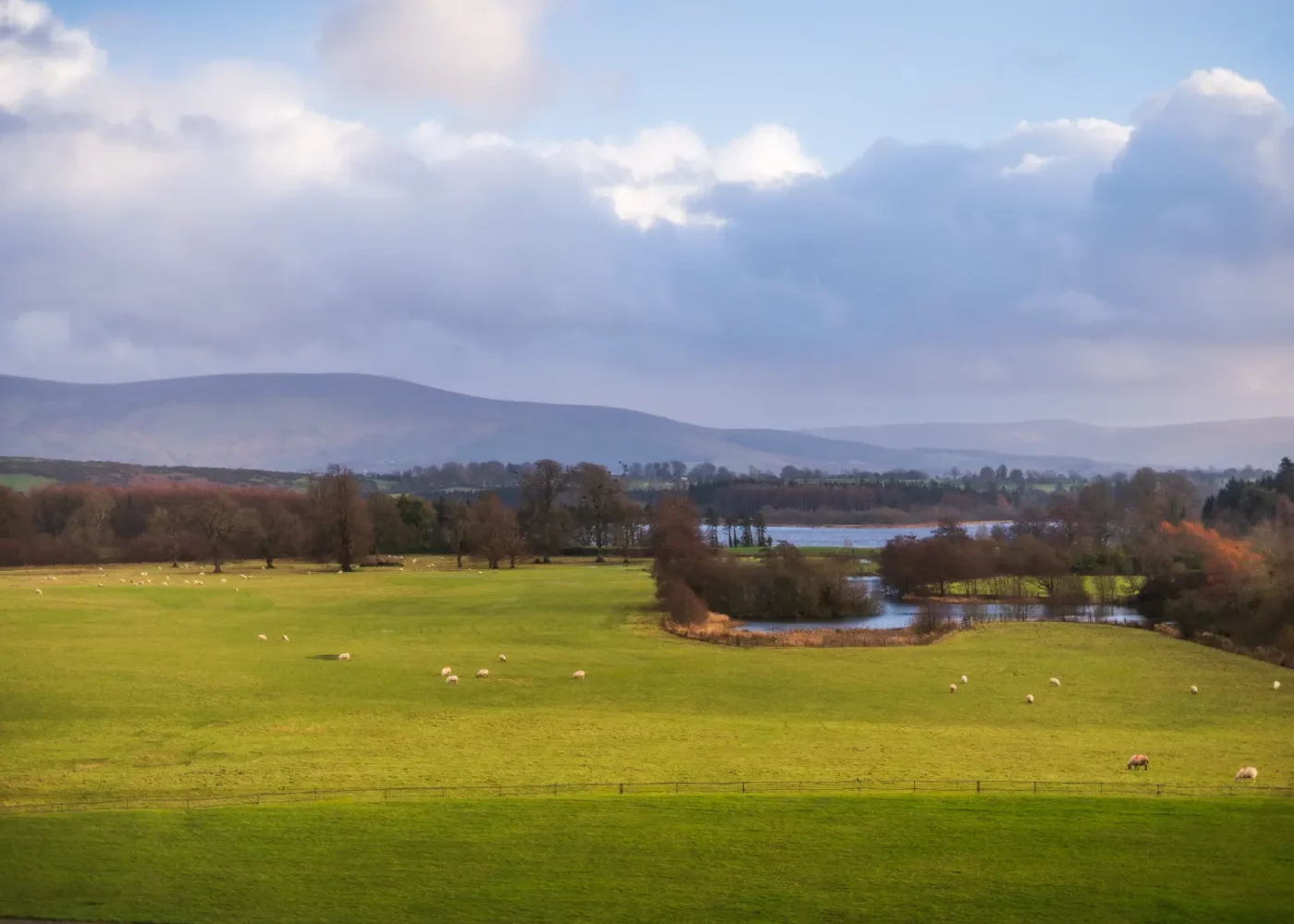 Walks & Trails russborough 07