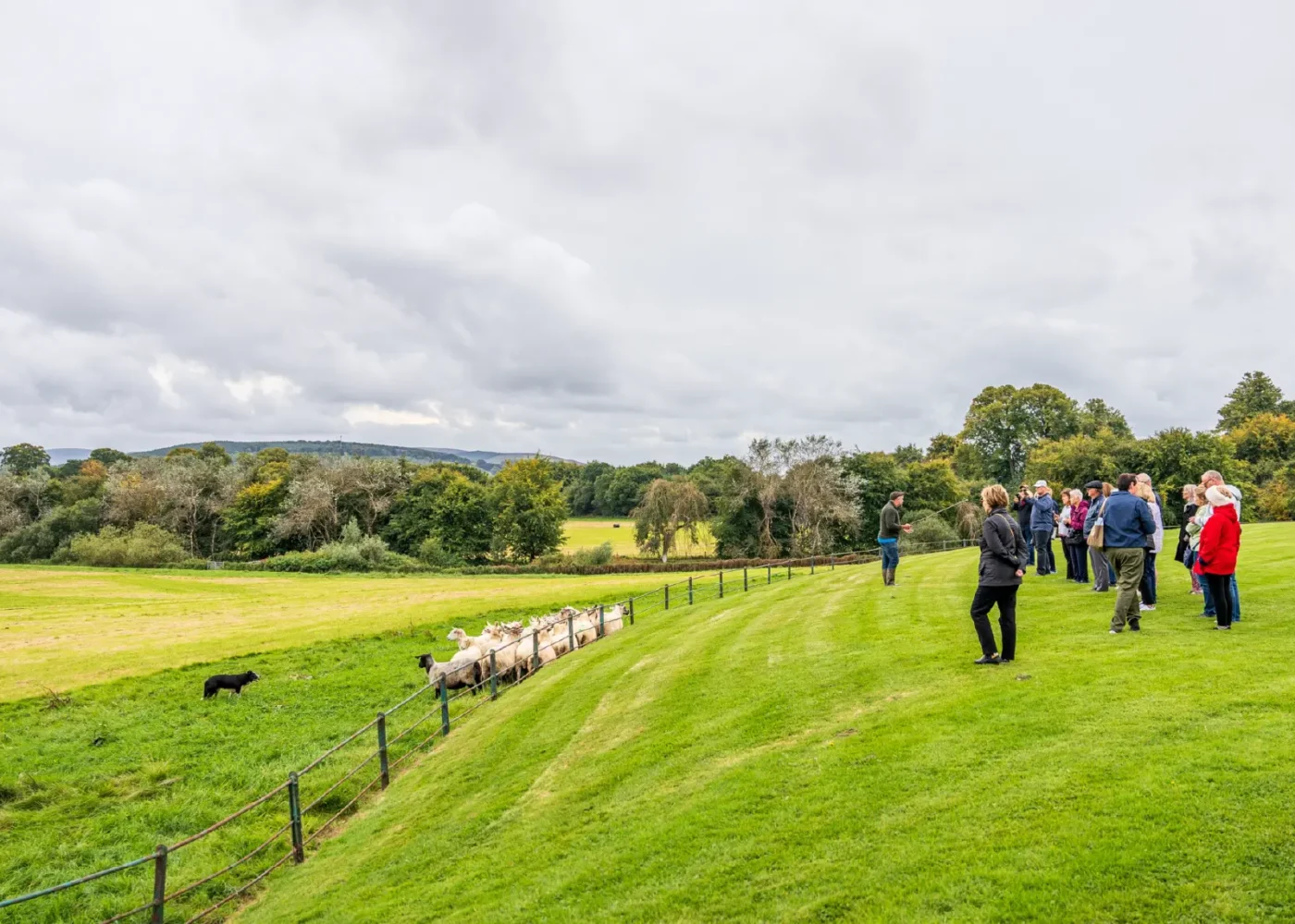 activities at russborough 09