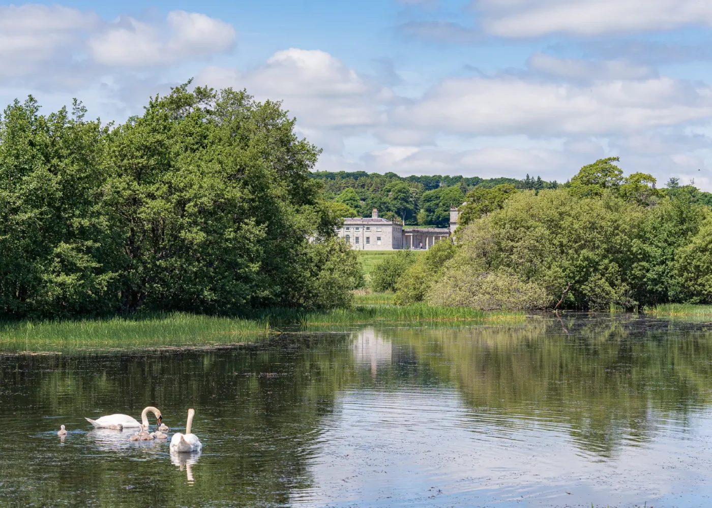 Russborough parks