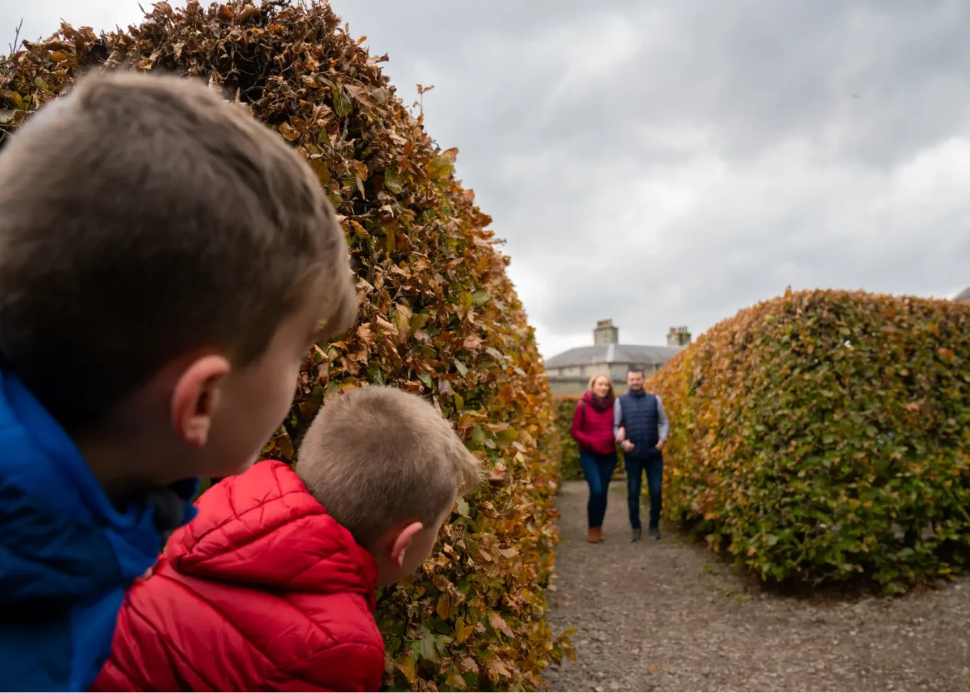 maze russborough 02