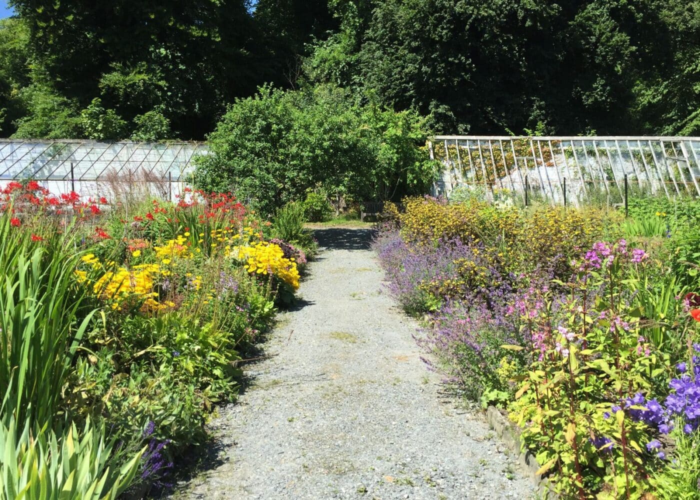 a path of flowers